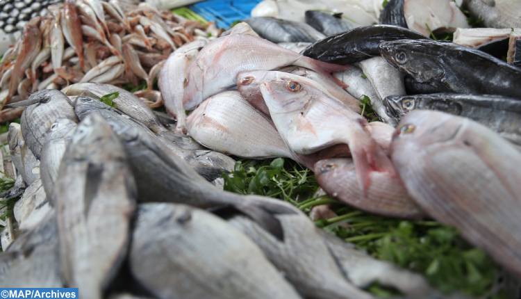 ميناء العيون .. ارتفاع الكميات المفرغة من منتجات الصيد الساحلي والتقليدي بنسبة 47 في المئة خلال الربع الأول من سنة 2023 (المكتب الوطني للصيد)