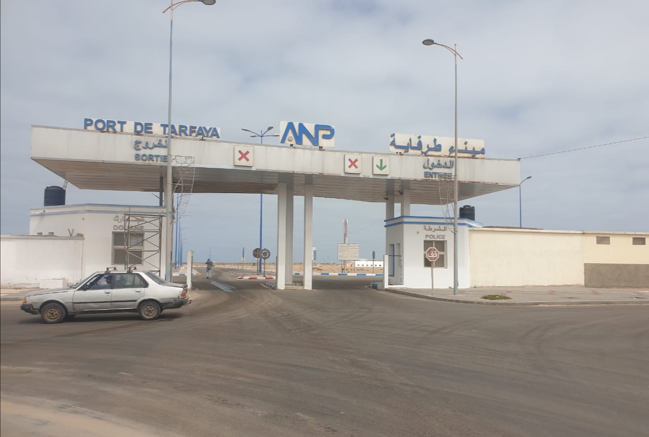 فعاليات المجتمع المدني تراسل وزارة الصيد البحري بشأن قرار صادر عن مديرية الصيد البحري