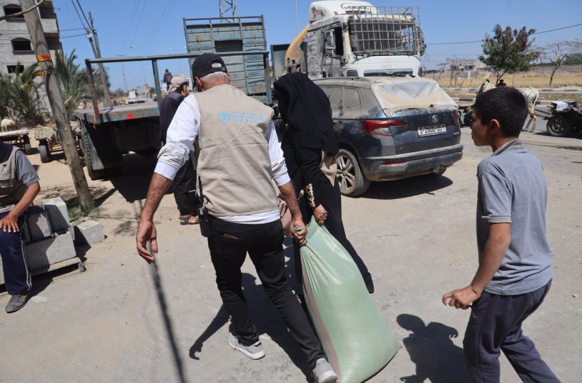 منظمة الأغذية والزراعة: تقديم أكثر من 2400 مجموعة من المستلزمات البيطرية لمربي الماشية في غزة<span class="label label-info" style="box-sizing: initial; background-color: rgb(58, 135, 173); padding: 1px 4px 2px; border-radius: 3px; font-size: 11.844px; line-height: 14px; color: rgb(255, 255, 255); text-shadow: rgba(0, 0, 0, 0.25) 0px -1px 0px; white-space: nowrap; vertical-align: baseline; font-family: "Times New Roman";"></span>