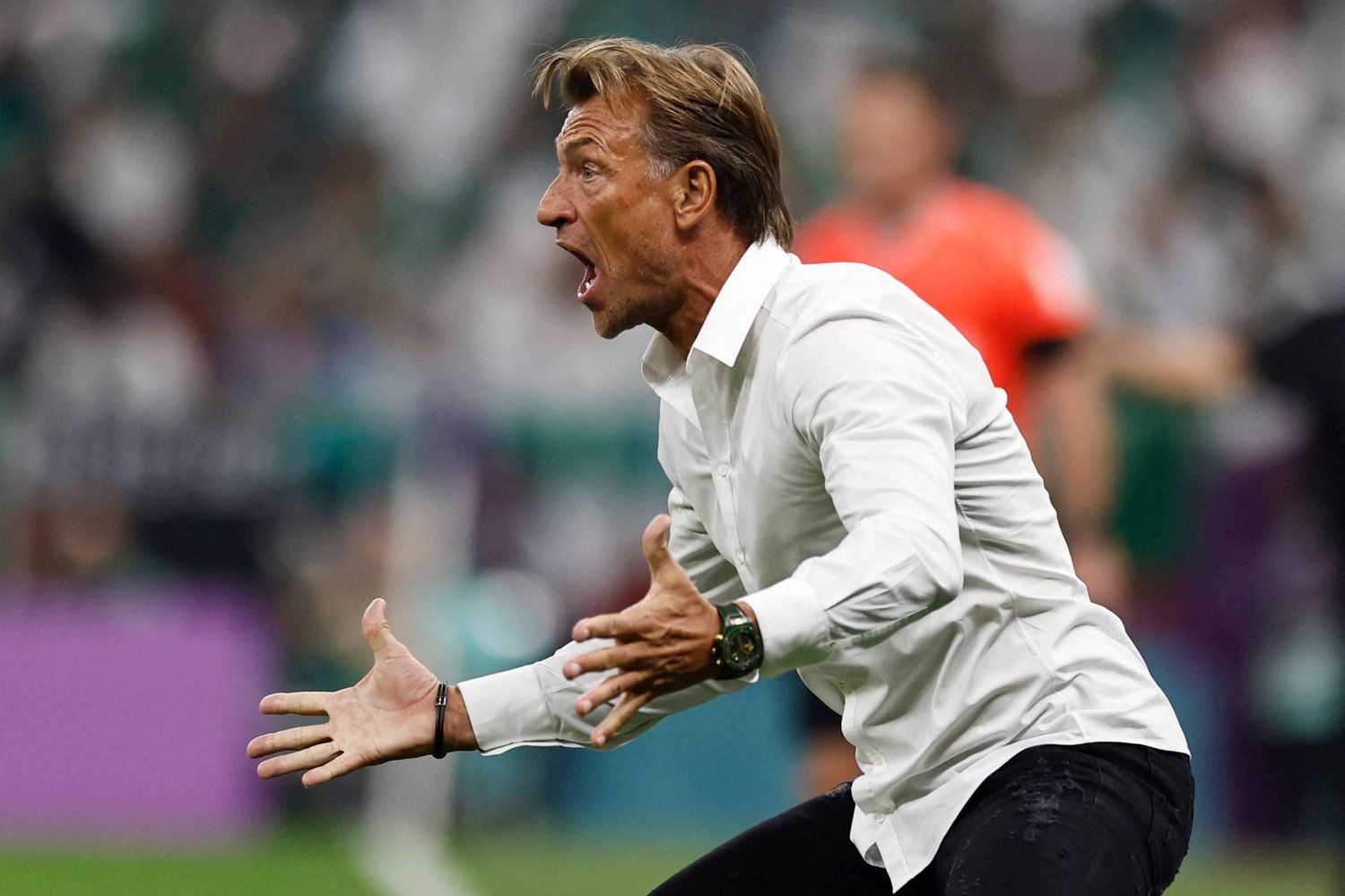 هيرفي رينارد يعود إلى تدريب المنتخب السعودي