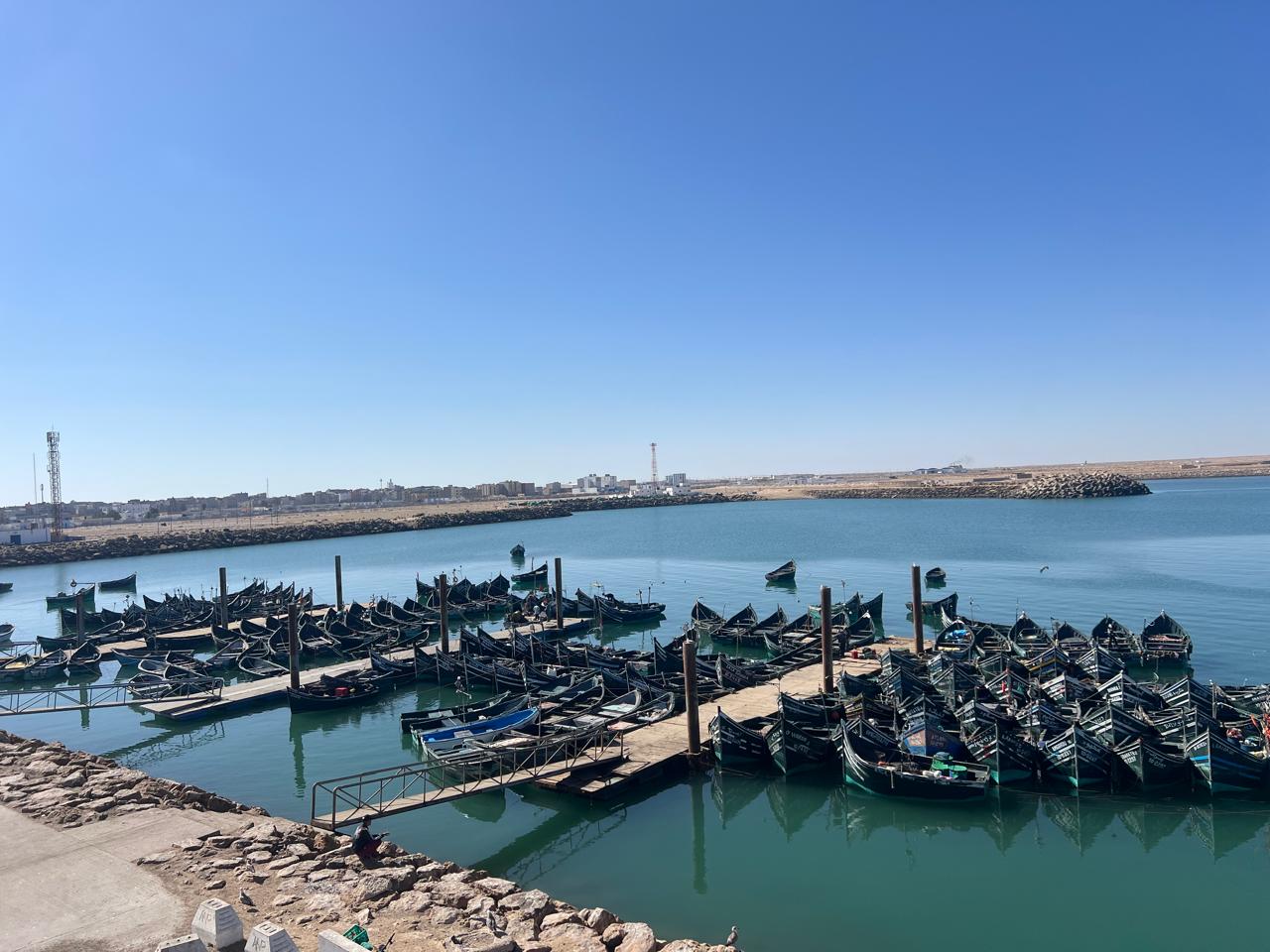 ارتفاع قياسي في تفريغ الأسماك السطحية بميناء طرفاية