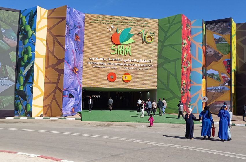 الدورة ال17 من المعرض الدولي للفلاحة بالمغرب تسلط الضوء على الإشكالية الشائكة المرتبطة بالماء