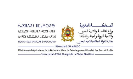 كتابة الدولة المكلفة بالصيد البحري تفند مزاعم استهداف صغار السردين بميناء العيون